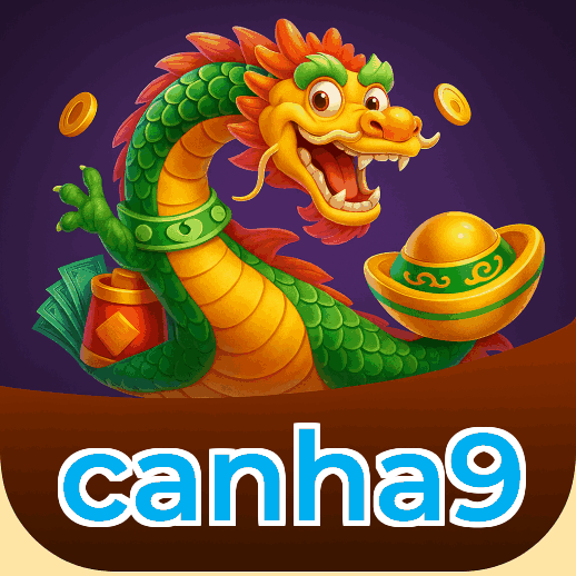 Termos e Condições Transparentes canha9